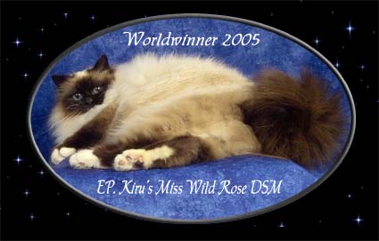 Welcome at the home of World Winner 2005. EP. Kiru's Miss Wildrose. DSM