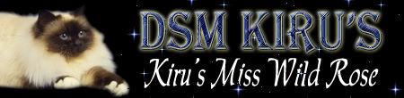 DSM. GIP. Kiru's Miss Wild Rose SBI n.