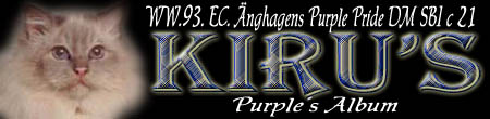 Velkommen til WW.1993. EC. Änghagens Purple Pride DM SBI c 21.