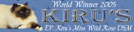 Worldwinner 2005. EP. Kiru's Miss Wildrose  DSM SBI n.